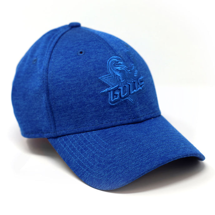 San Diego Gulls New Era Tonal 39Thirty Hat